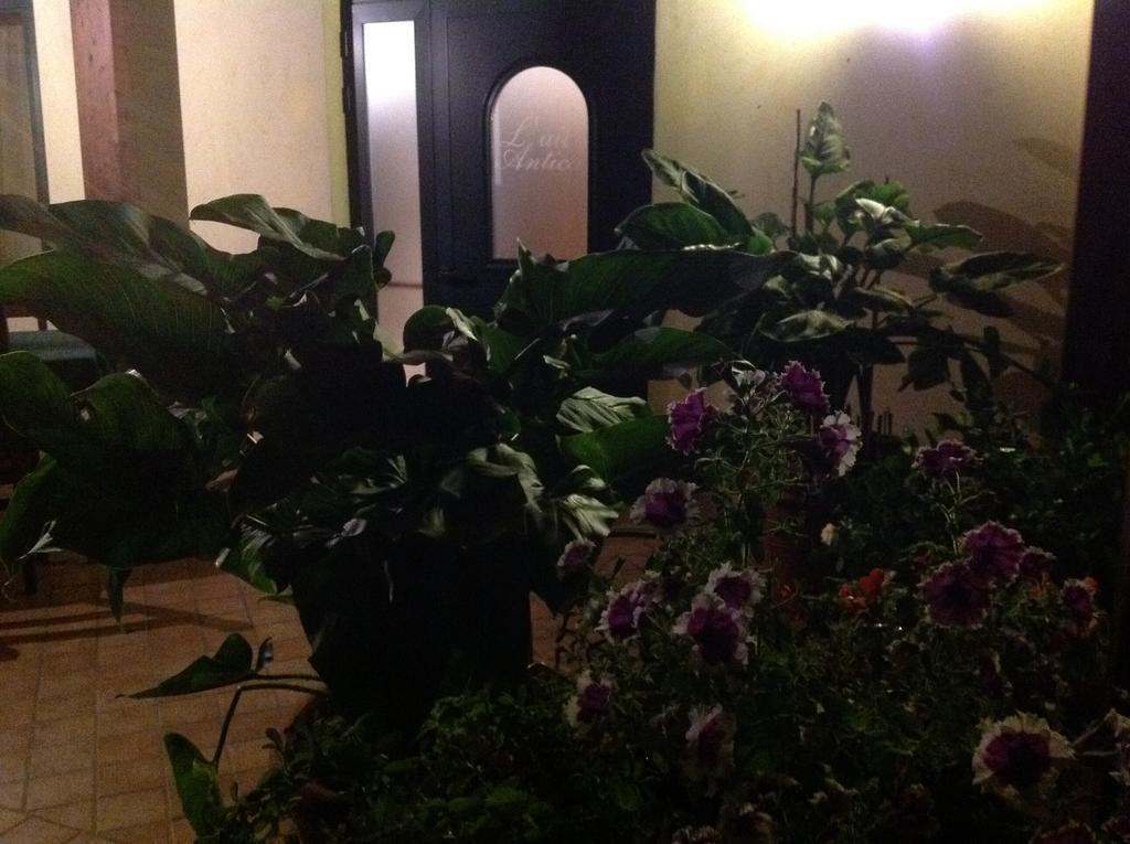 Bed and Breakfast L' Aia Antica Veroli Экстерьер фото
